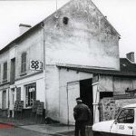 Verdelot - JPEG - 22.9 ko - 500×339 px